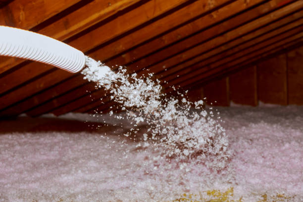 Best Home Insulation Services  in Palos Hls, IL