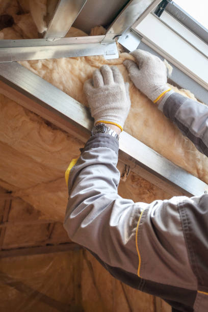 Best Cellulose Insulation  in Palos Hls, IL