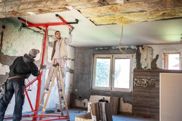 Best Home Insulation Services  in Palos Hls, IL